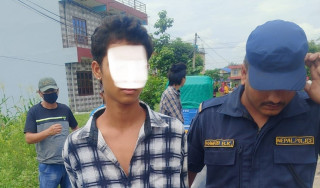 छोराको ढुंगा प्रहारबाट बाबुको हत्या 